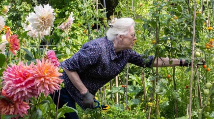 Woman gardening